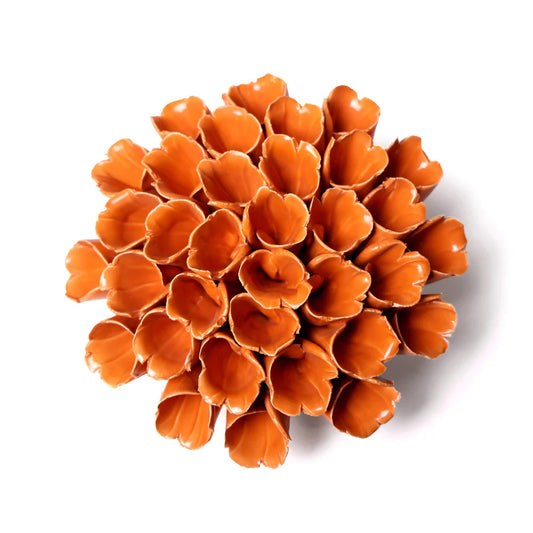 Sea Polyp Orange
