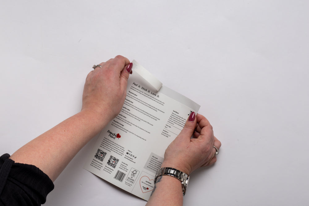 After Midnight Paint Sample